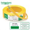 DashengGuang Professional Grade Ethernet Network Cable