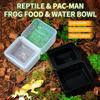 Reptile Breeding Feeder Box Plastic Anti Escape Feeding Bowl Black White Options for Lizard Snake Habitat