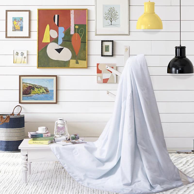 

Mercury Home Textiles Lightweight Tussah Silk Quilt