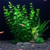 Y5JC Simulation Artificial Green Plant with Resin Base Life Like Fishtanks Decoration for Aquariums Underwater Landscape Props