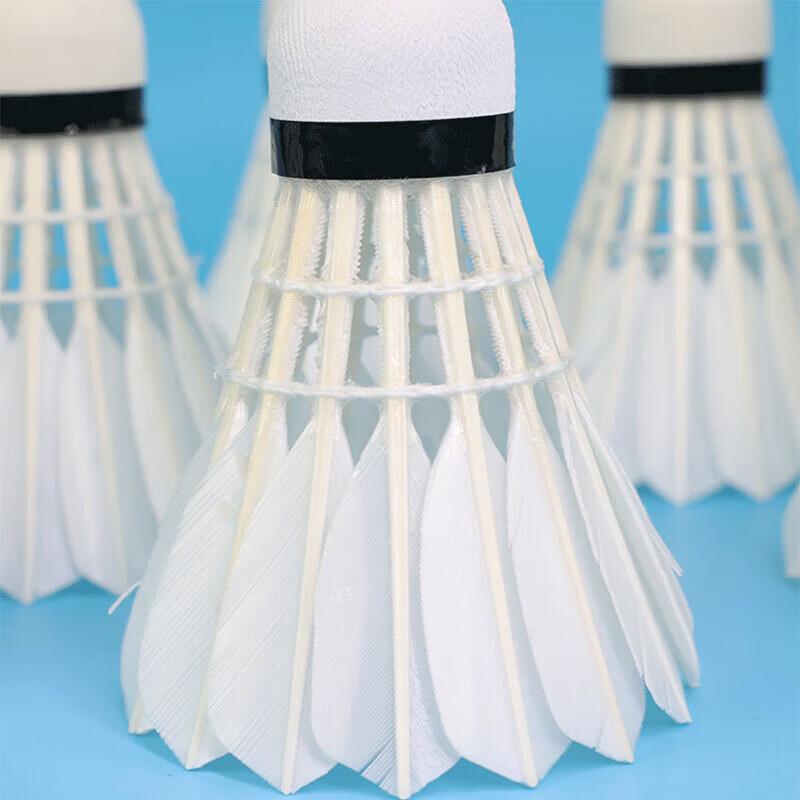 DHS Ruifeng Professional Duck Feather Badminton Shuttlecocks
