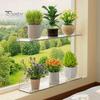 No Drill Window Shelf Plant with Suction Cup And Protective Edge, Clear Acrylic Floating Sturdy Vertical Garden Display Shelf, Wall Mounted
