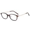 Trendy Small Square Frame Reading Glasses for Women Men Classic Ultralight Plus Diopter Eyewear New Fashion Anti-blue Presbyopia