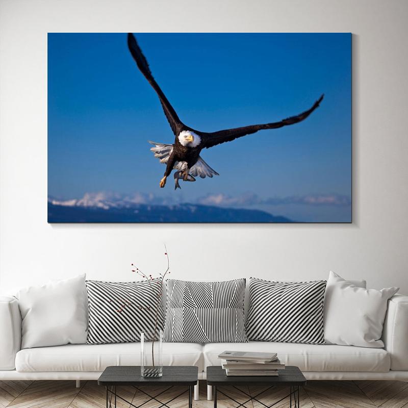 RELIABLI ART Obrazy na płótnie Latający orzeł Zdjęcia zwierząt Home Wall Art do salonu Plakaty i reprodukcje Dekoracja wnętrz
