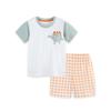 Cartoon Dinosaur Print Short Sleeved Set Summer New Plaid Shorts Set Kid Clothing
