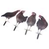 4 Pcs Garden Hen Stakes Colorful Realistic Decorative Acrylic Easy To Install Chicken Yard Decor