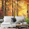 Photomural Forest Autumn Colors Self-Adhesive Mural 180x120