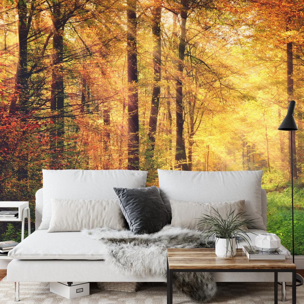 Photomural Forest Autumn Colors Self-Adhesive Mural 180x120
