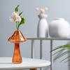 Mushroom Shape Vase Cute Decorative Glass Mushroom Hydroponic Flower Vase for Home Living Room Decoration