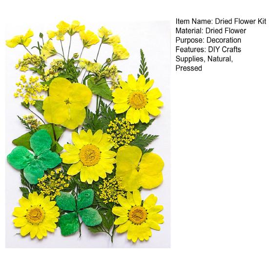 1 Set Dried Pressed Flowers Kit Colorful Natural Flowers DIY