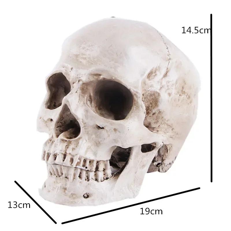 1:1 Skull Statue Sculpture Halloween Decoration Resin Skull Skeleton Crafts for Painting Medical Props Bar Counter Home Decor
