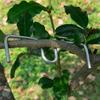 10/30Pcs Fruit Tree Branch Shape Fixator M-Type Branch Trainer Angle Benders Reusable Fruit Tree Support Holder Vine Trainers