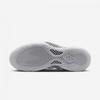 Nike Air Foamposite One Hj5195 100