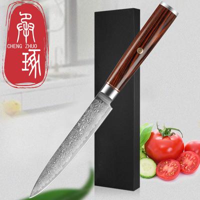 Damascus Steel Fruit Knife 5 Inch Professional Japanese Kitchen Knife High Carbon Super Sharp Knife for Cutting Fish Meat