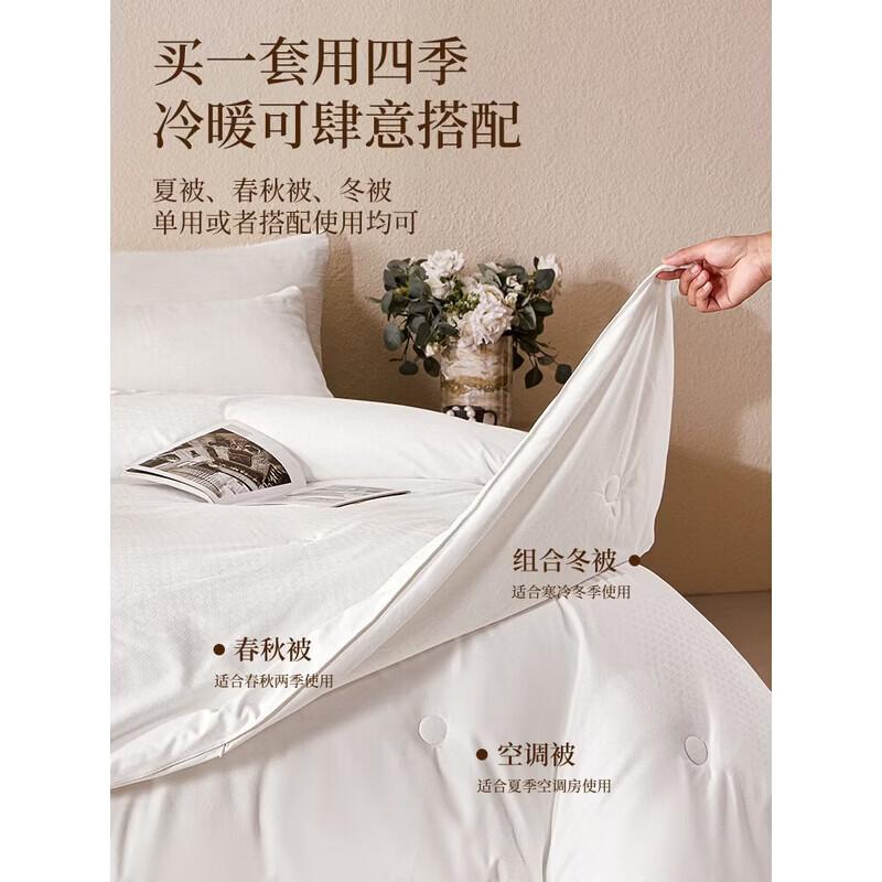 

All-Season Two-in-One Mulberry Silk Blend Duvet