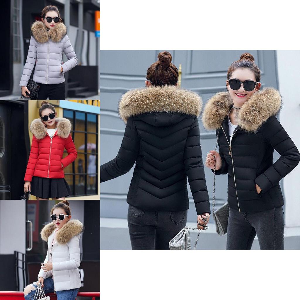 Premium Quality Winter Cotton Hooded Women Jacket Casual Slim Warm Padded Coat