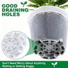 Clear Plastic Flower Pots for Gardening 30 Pieces with Drainage Holes and 50 Plant Labels for Plant Organization