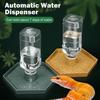 Comedero Automático para Tortugas Antideslizante Dispensador de Agua Reptiles Bebedero para Mascotas Reptiles