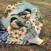 1 Stück Vögel Blumen Schirm - 8 Speichen verstärkt, Automatisches Öffnen, Leicht & Langlebig, Niedliches Modeaccessoire für Draußen - P94