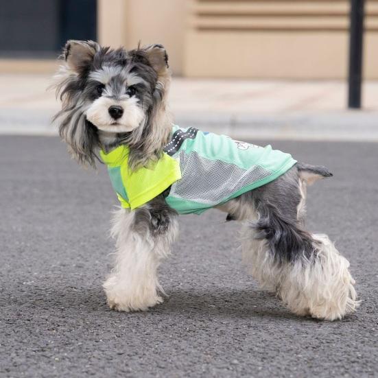 Mesh Dog T-Shirt Breathable Pet Clothes Contrasting Color Dog Shirt Summer Cool Dog Outfit with D-Ring for Small Dogs Puppies