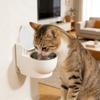 Кішки – Посуд для напування та годування кішок