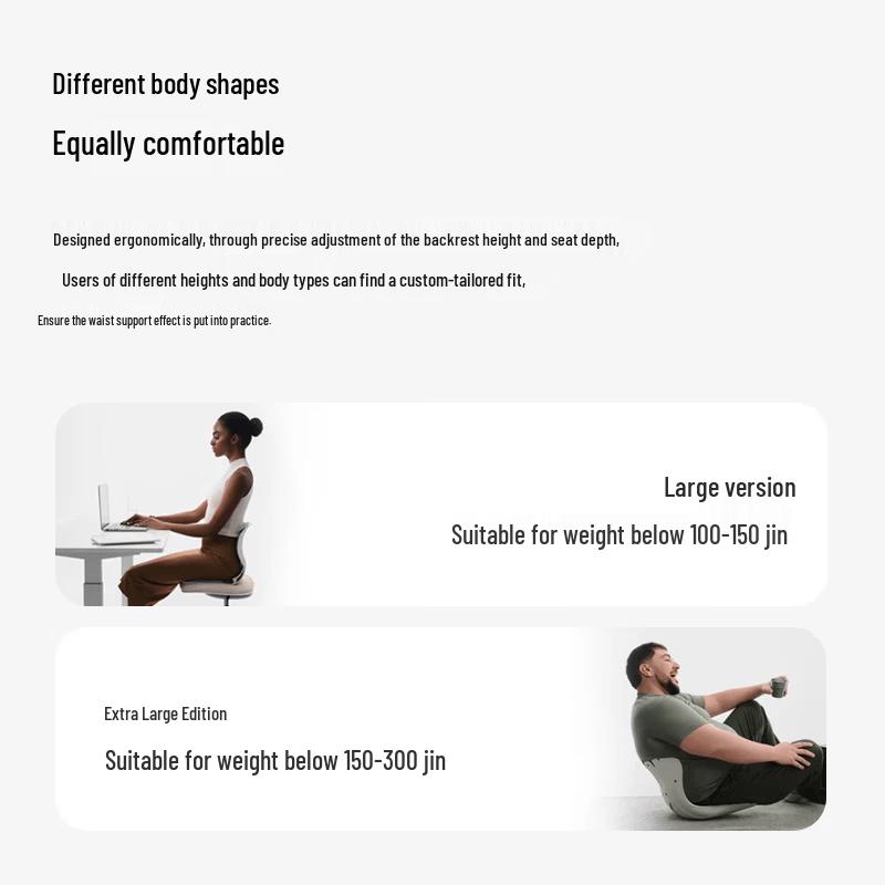 BKT Ergonomic Lumbar Support Posture Chair CN plug (adapter included)