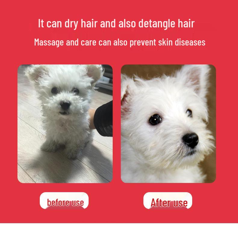 PetSmart All-in-One Electric Comb: Quick-Drying, Fluffing, and Dematting for Cats & Dogs