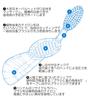 [Radius Flex Toothbrush] SDGs Sustainable Big Head Recyclable Biomass Waste Reduction Eco (WhiteYellow, Left-Handed)