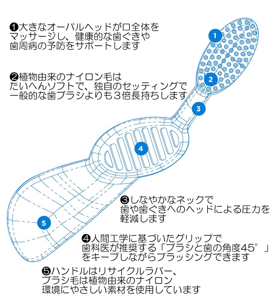 [Radius Flex Toothbrush] SDGs Sustainable Big Head Recyclable Biomass Waste Reduction Eco (WhiteYellow, Left-Handed)
