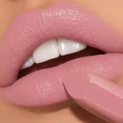 Lippenpalette Matt Wasserdicht Samt Nude Lippenstift Feuchtigkeitsspendend Langanhaltend Sexy Rote Lippen Nicht klebend Tasse Make-up 6 Farben, 04, 1 Stück