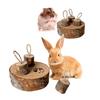 Wooden Hamster Foraging Toy Applewood Decorative Reduce Boredom Guinea Pig Feeding Toy for Chinchilla Small Animal