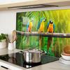 Tempered Multifunctional Decorative Glass Boards Parrot Branch 2x40x52 Cm