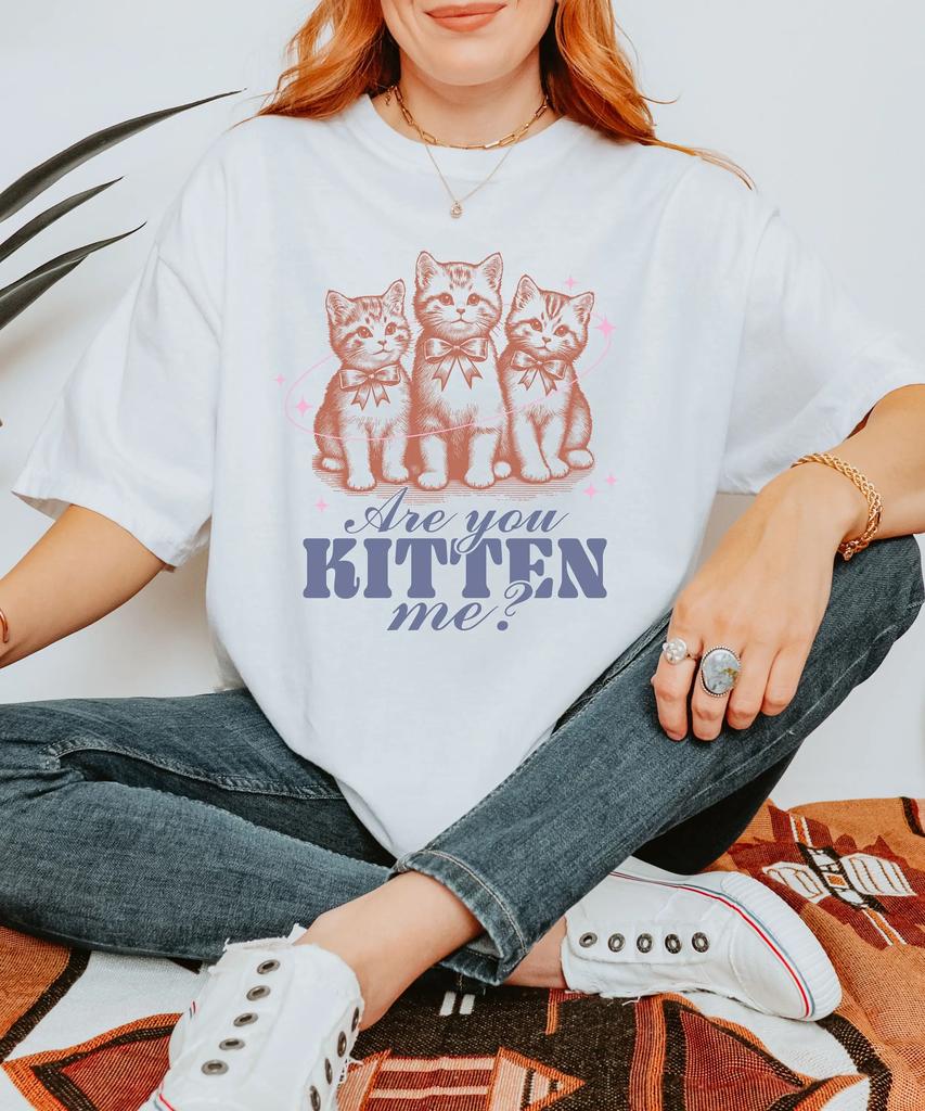 Are You Kitten Me Cat Lover Cute Vintage Retro Funny Heavy Weight Comfort Colors T Shirt