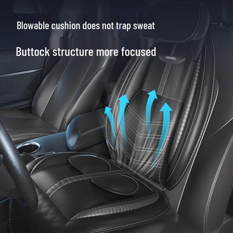 CLORIS Full Body Back & Neck Massage Cushion for Car & Home