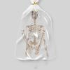 Halloween 70cm Skeleton Simulation Human Plastic Skeleton Haunted House Prop Skeleton Decoration