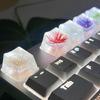 Resin ESC Keycap Decorative Pine Blossom Dry Flower Keycaps for Mechanical Keyboards with Exceptional Transparency