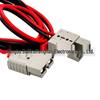 Double-Headed Anderson Connector Cable, 10AWG, 2.5m
