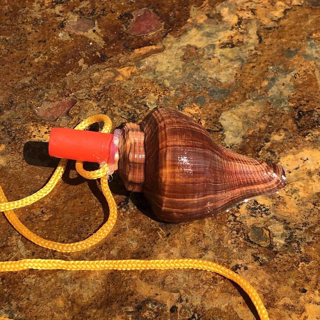 Street Stall Conch Shell Whistles & Toys: Creative Souvenirs