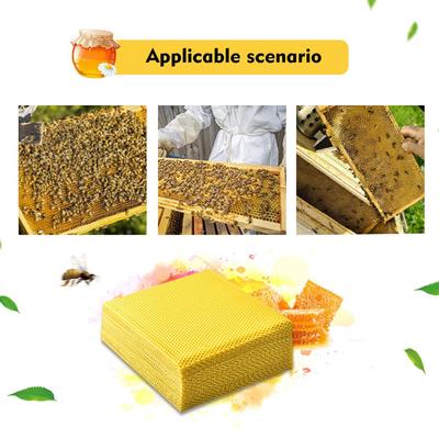 Bee Pipe Beekeeping Queen King Catch Cage Beekeeper Equipment Protection S