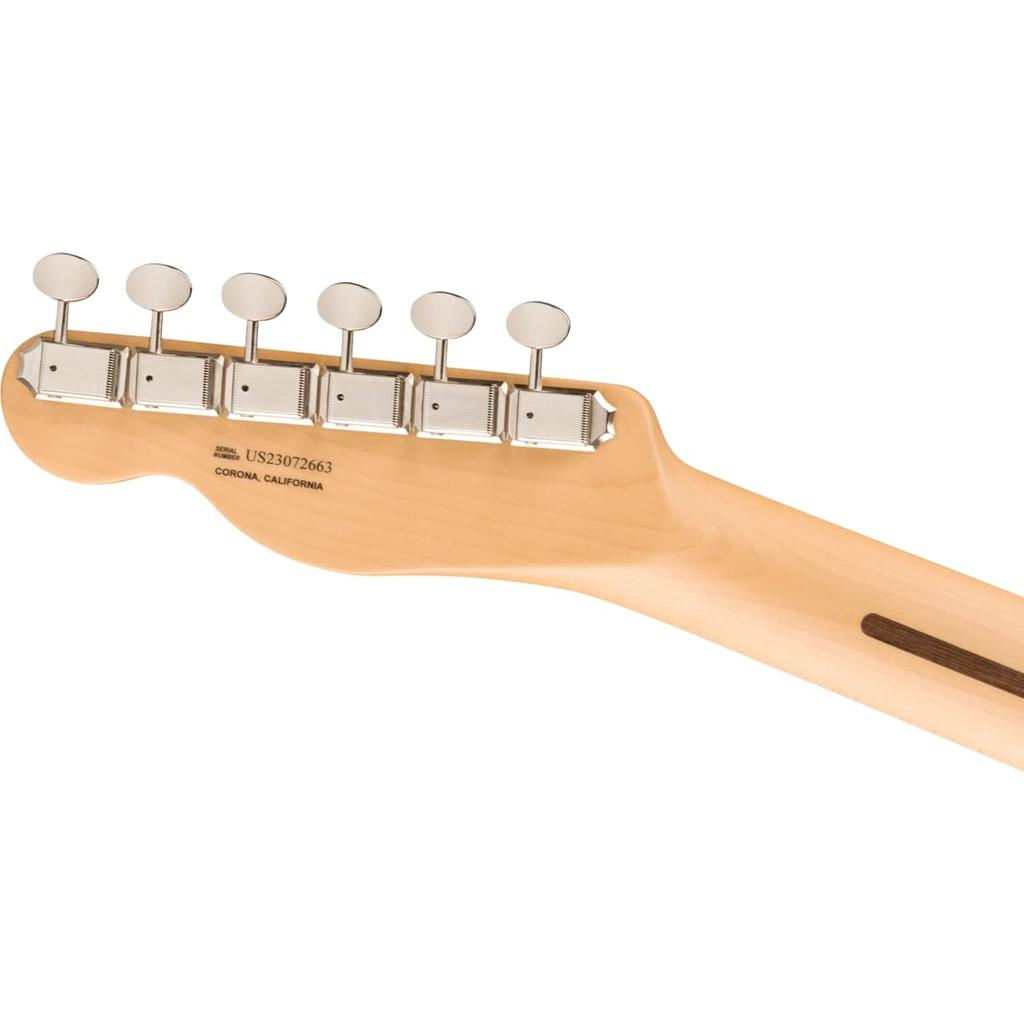 American Performer Sassafras Telecaster Maple Fingerboard Mocha Fender In Limited Fender/FSR [Made USA] [Ishibashi Sale]