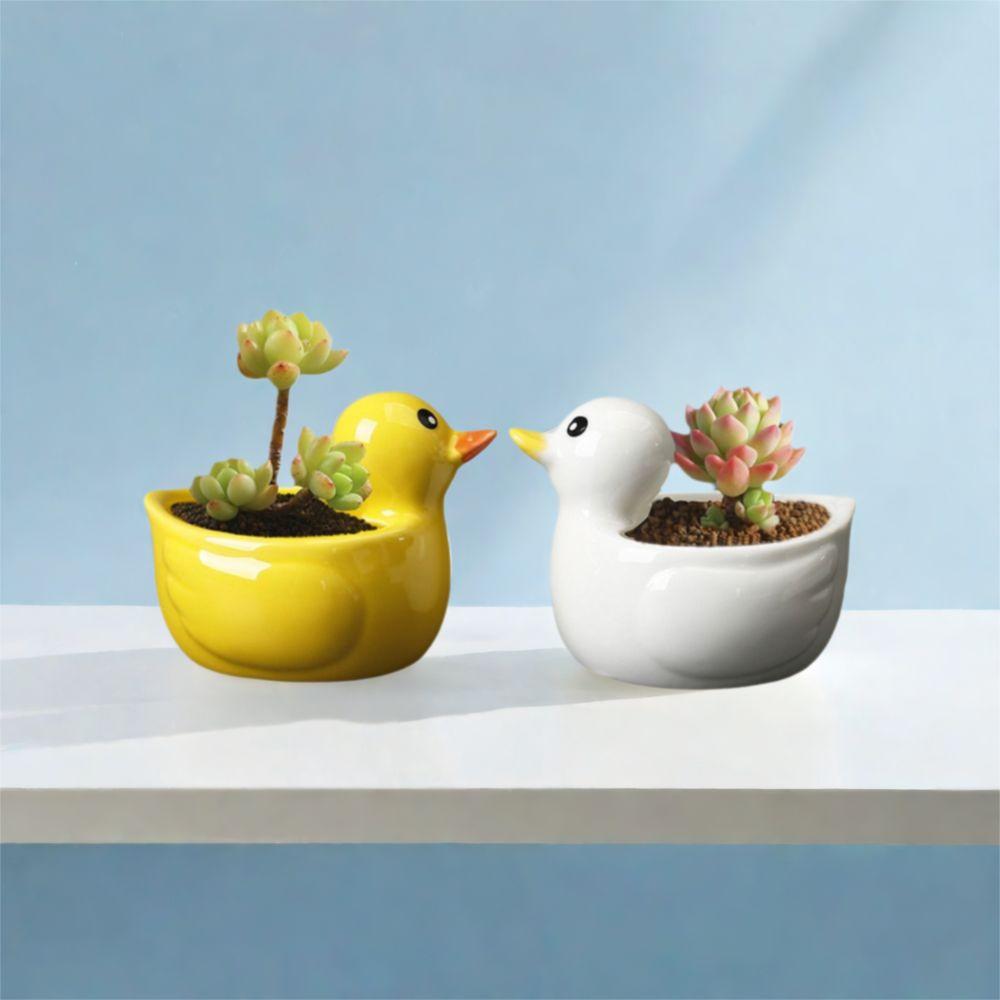 Cute Succulent Plant Flowerpot Handicraft Hydroponic Flower Holder  Dried Flower