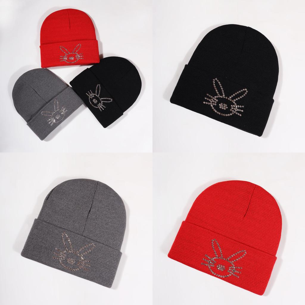 Korean Style Knit Hat With Bunny Embellishments For Autumn Winter Warmth
