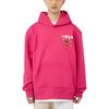 Li Ning Daily Prosperity Series Snowflake Totem Loose Pullover Hoodie Men Hoodies Tree-Plum-Red AWDU337-4