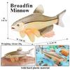 Oenux Sea Life Animals Coral Octopus Nautiloidea Crab Starfish Ocean Model Action Figures Educational Collection Toy Kid Gift