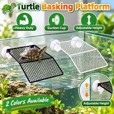 Reptiles – Soin des reptiles