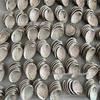 Abalone Shell Sage Incense Burner - Natural Pearl Decorative Piece for Home
