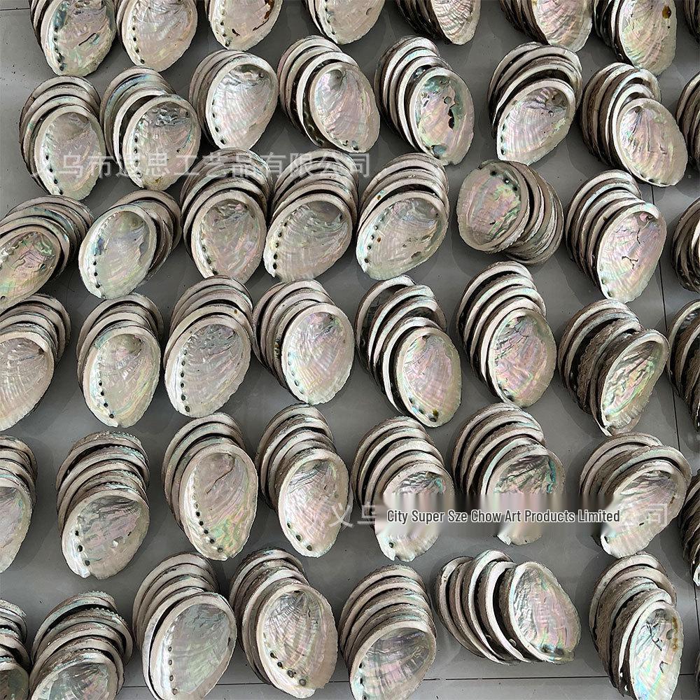 Abalone Shell Sage Incense Burner - Natural Pearl Decorative Piece for Home