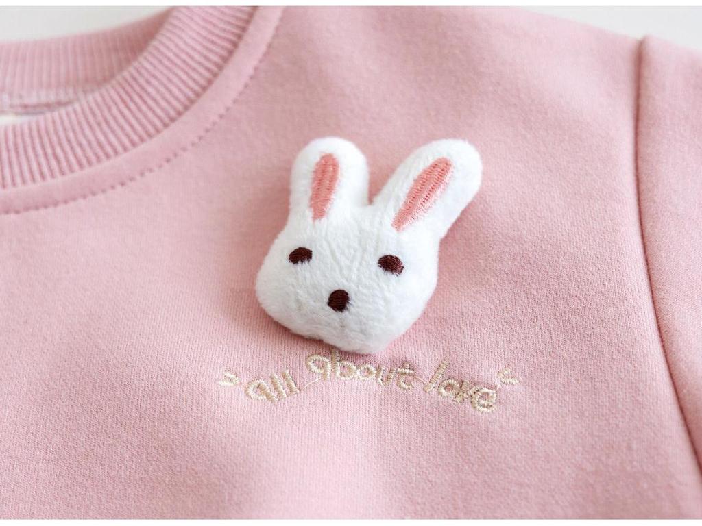 2024 Autumn Baby Girl Korean Hoodie - Cartoon Style with 3D Rabbit Decoration
