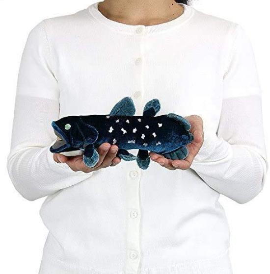 Calorata Coelacanth Plush Toy (Small  24cm L x 11cm W x 10.5cm H  Twice Tested) Ancient Fish Toy, Realistic Gift for Birthdays, Boys and Girls