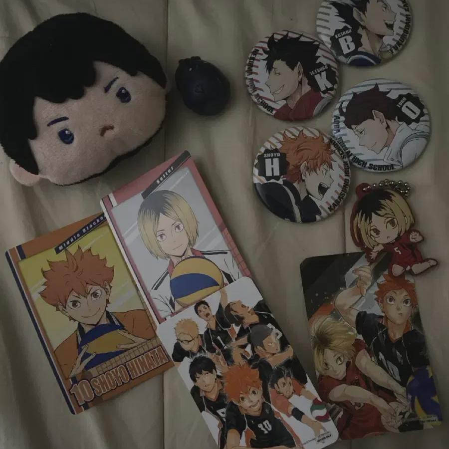 

Оптовая продажа Haikyu 15000